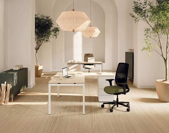 AMB_BUR_FAU_RAN_CINETIC_MUNIK_LINEA_HARMONY_CAD_165_2025