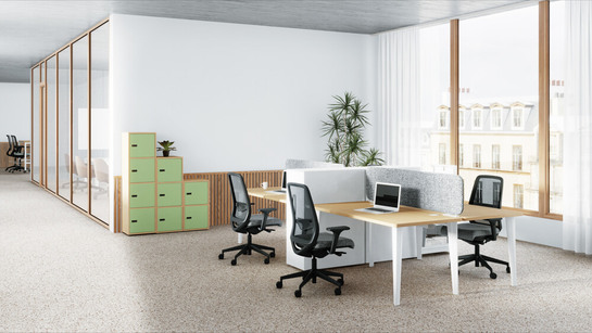 AMB@4LINE-GABIN-LEO-CAMILLE-MINIMALISTE