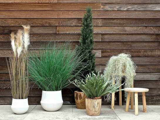 ambiance-plantes-deco-tanaman-2