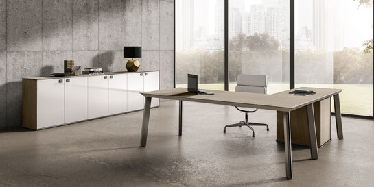 bureau-de-direction-design-45-90-pieds