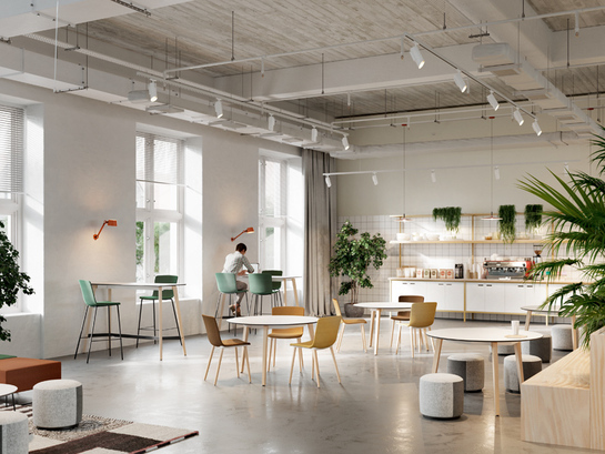 bureau-operatif-timber-08