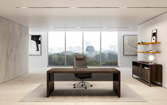 bureau-direction-bold58 12