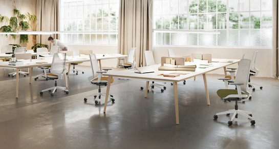 bureau-operateur-timber