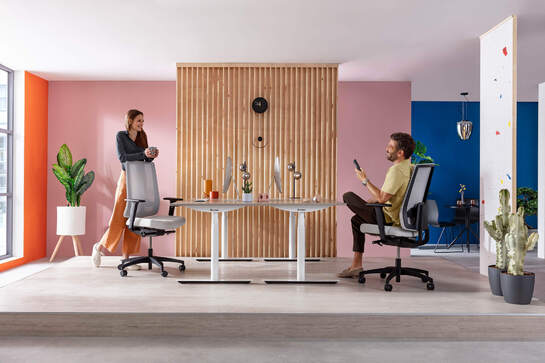 Indeed mesh team office